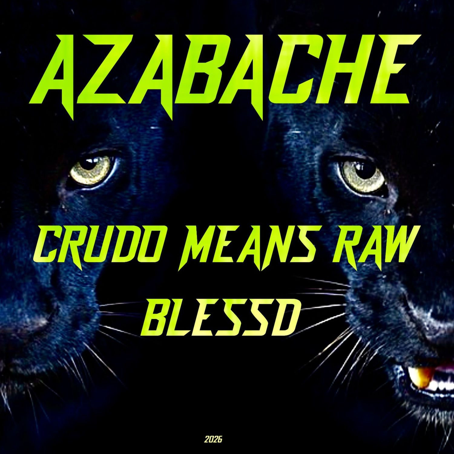 Portada de Azabache