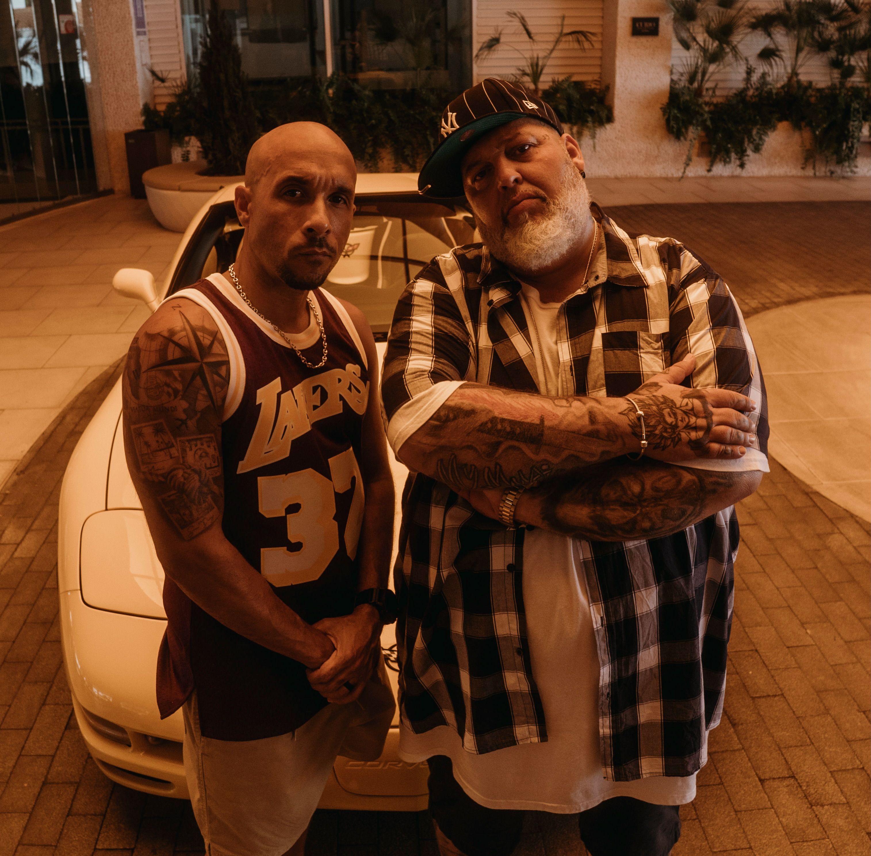 Gordo Master x All Day Green