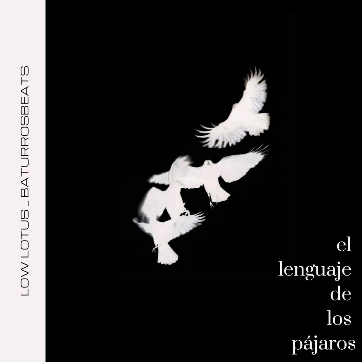 El Lenguaje de los Pájaros