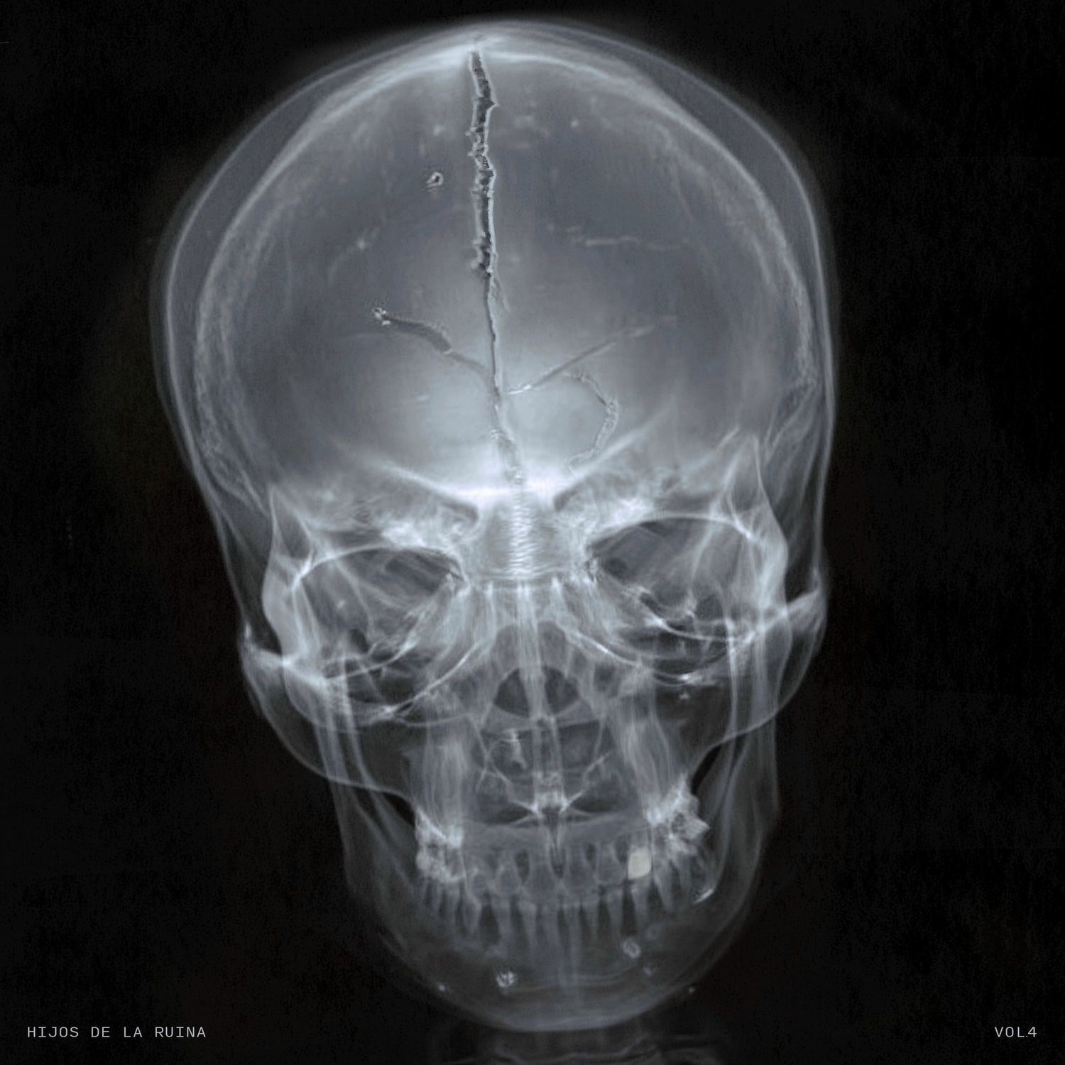 Hijos De La Ruina Vol.4