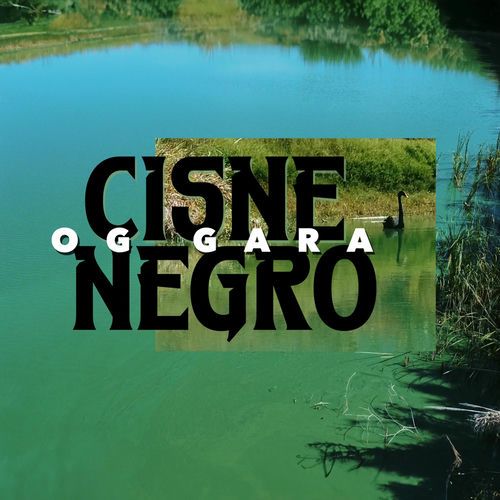 Cisne Negro